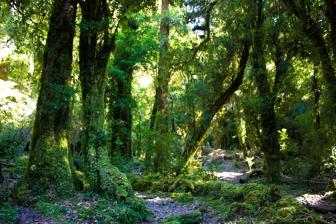 Trekking Slides Valle De La Junta, Cochamó - Included Services