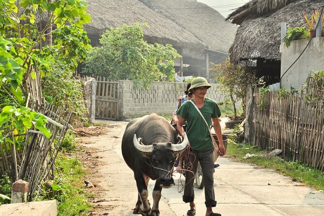 Trekking Through Hoang Su Phi Rice Fields 4 Days 3 Nights - Itinerary Overview