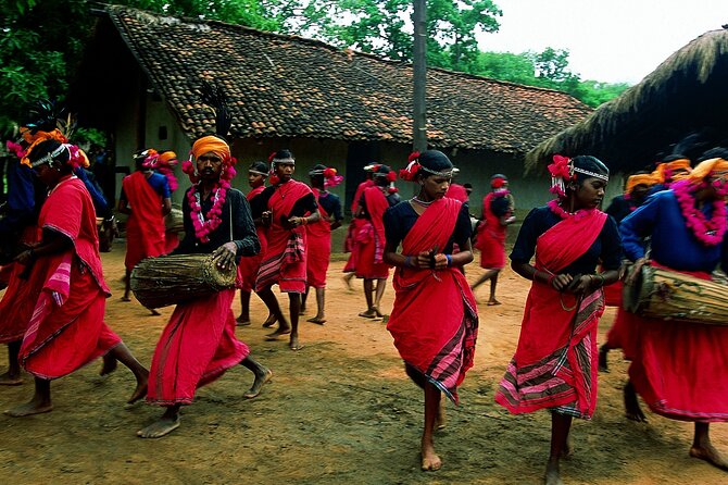 Tribal Tour: Odisha & Chattisgarh - Tour Highlights