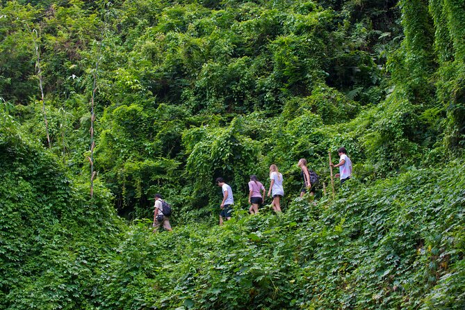 Tropical Trekking Tour From the Old Hindu Village - Taro Ubud - Highlights of the Trekking Tour