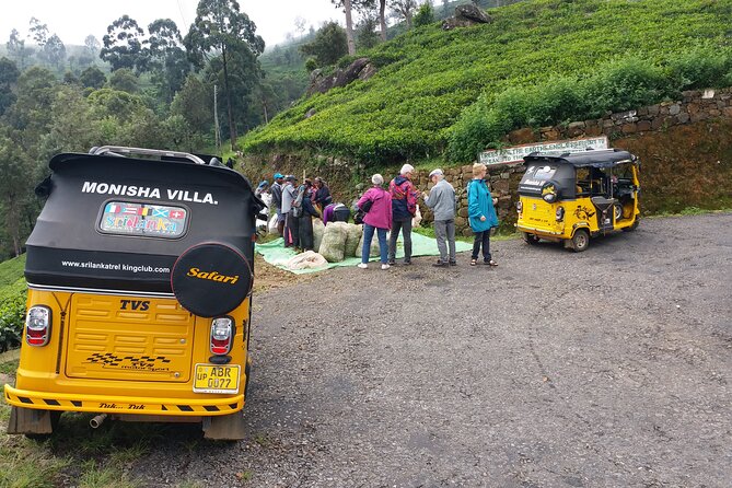 Tuktuk Safari in Tea & Spice Plantation,View Points,Upper Diyaluma Waterfalls,