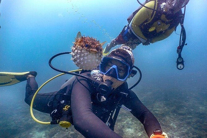Tunku Abdul Rahman Marine Park Leisure Diving From Kota Kinabalu - Inclusions and Additional Charges