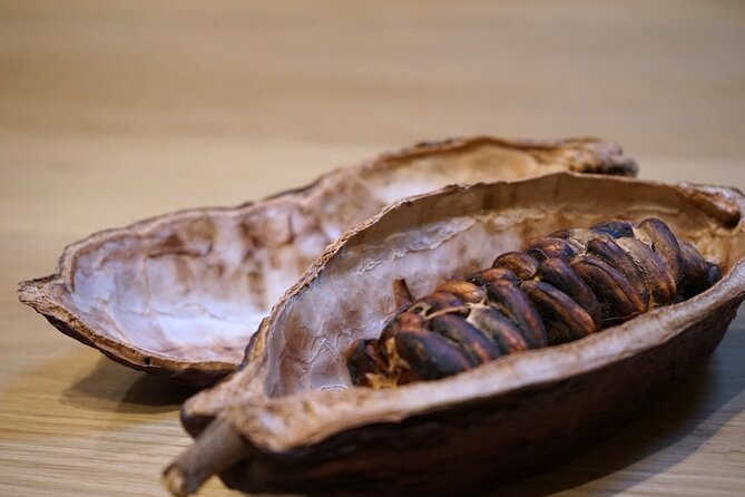 Turin Food Tour Chocolate, Focaccia and Wines - Booking and Cancellation Policies