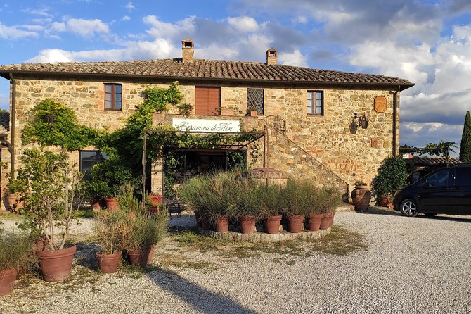 Tuscan Wines Tour - Montalcino and Montepulciano (or Pienza) - Tour Highlights