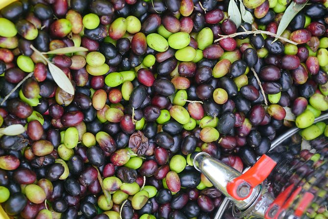 Tuscany Olive Oil Coffee & Wine Small Group Tour From Florence - Meeting and Pickup Details