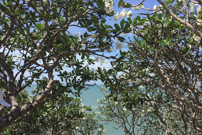 Two-Day Vung Tau Beach Trip From Ho Chi Minh City - Logistics and Accessibility