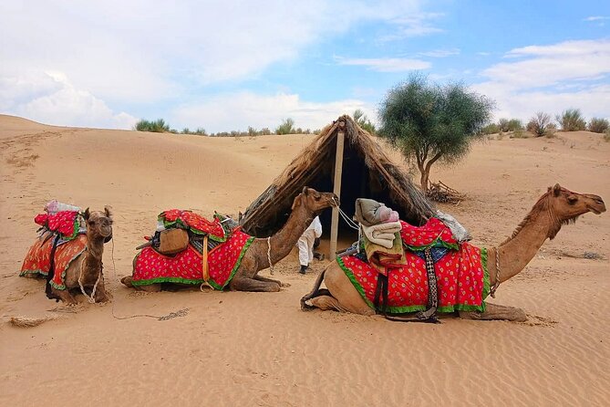 Two-Night Camel Safari and Desert Camping