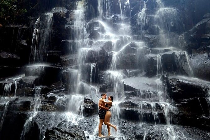 Ubud Highlight Private Tour With Transfer - Inclusions Provided