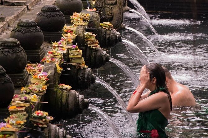 Ubud Higlights Monkey Forest Rice Terrace and Temple Tour - Tour Highlights