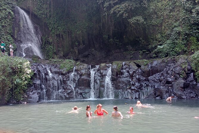 Ubud Tamansari Natural Pool Bali Swing Private Guided Tour