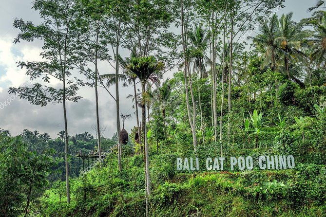 Ubud Village and Kintamani Volcano Tour - Inclusions