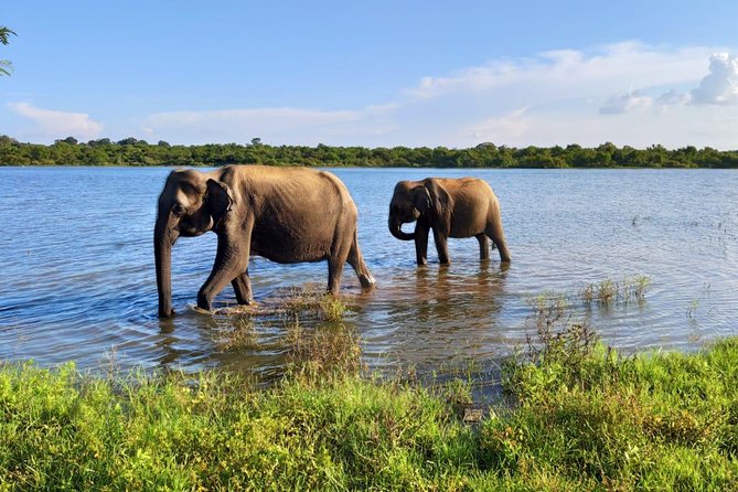 Udawalawa National Park With Supun Safari | Enjoy Your Vacation