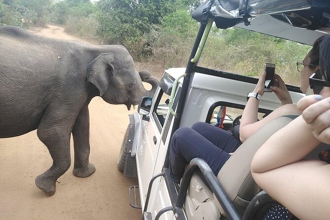 Udawalawa Safari Tour - All Inclusive Day Tour (Group) - Expectations and Additional Info
