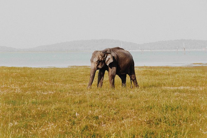 Udawalawa Safari(3-4hours) - Private Jeep With Experienced Driver - Location Details
