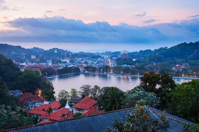 Ultimate Journey in Sri Lanka 4 Day Tours - Insider Tips for Travelers