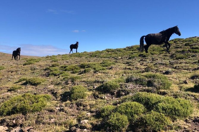 Ultimate Peak Hike Camp - Drakensberg Mafadi Adventure - Trip Overview