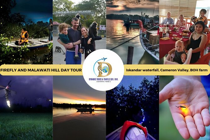 Unbelievable Firefly Kuala Selangor Day Tour - Tour Overview