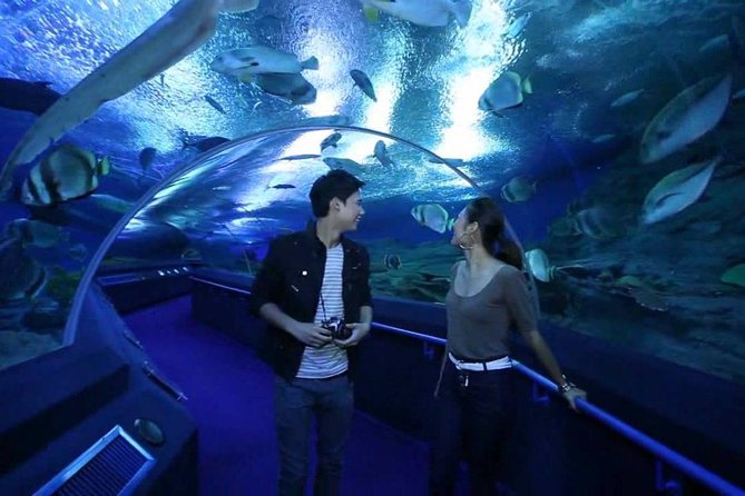 Underwater World at Pattaya Admission Ticket With Return Transfer - Pickup Options and Additional Charges