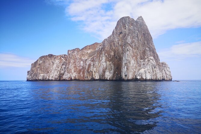 Underwater World of the Galapagos Islands Private Snorkel Tour