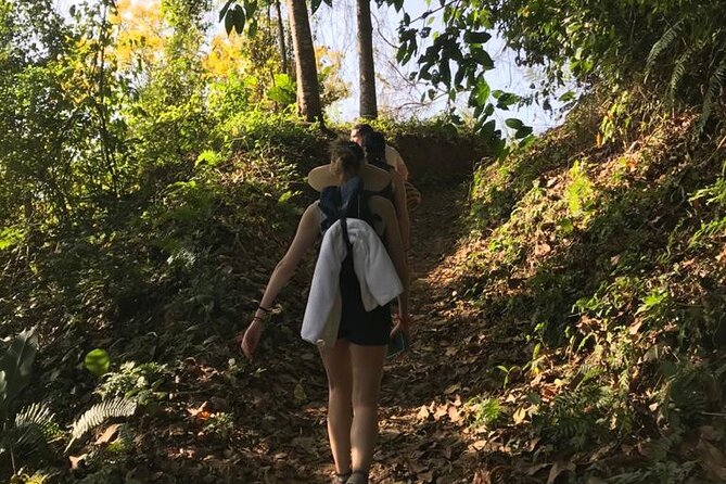 Unearth Indigenous Wisdom and Hike Through Lush Rainforest - Private Transportation for Seamless Travel
