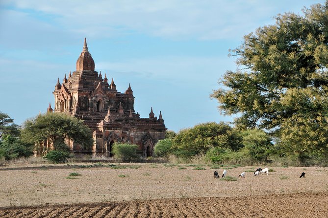 UNESCO World Heritage Bagan: Archaeological Temples by E-Bike - Location and Rental Information