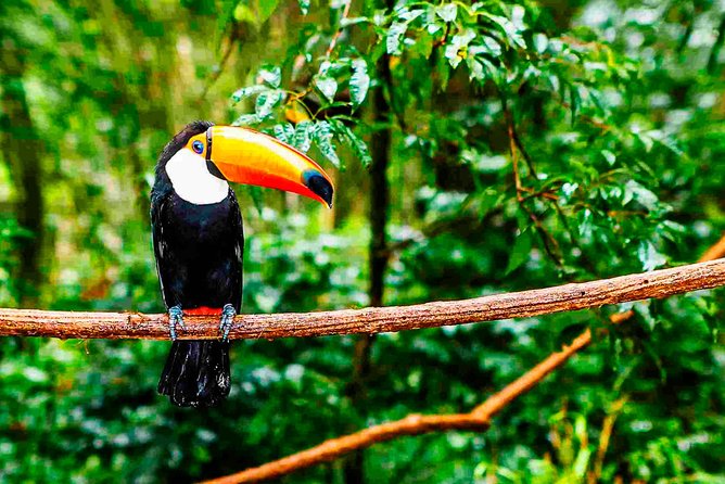 Unique Amazon Sustaintable Comunities Encounter in Ecuador