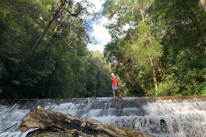 Unique Dalat Forest Coffee Harvest, Production & River Experience