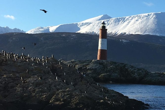 Unique Tour to Beagle Channel & Pinguins Sighting - Itinerary Highlights