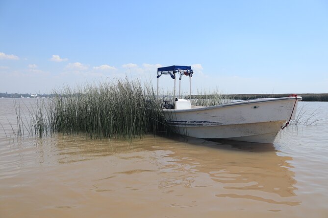 Unveiling Tigre Secrets of Delta & Rio De La Plata