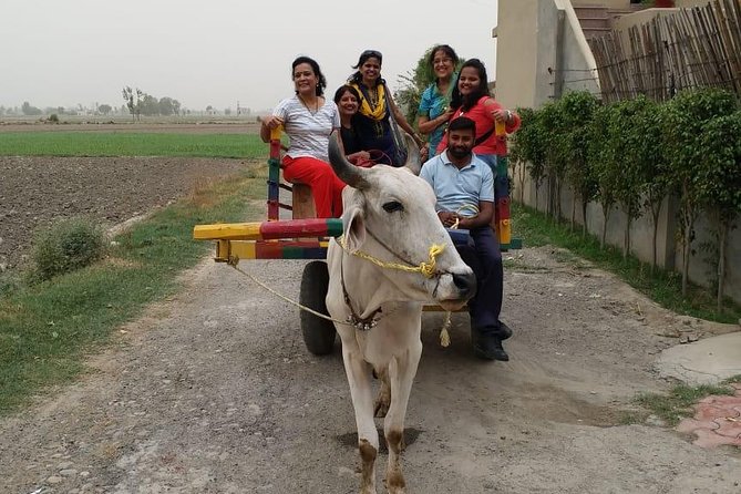 Urban Farm Trip Amritsar