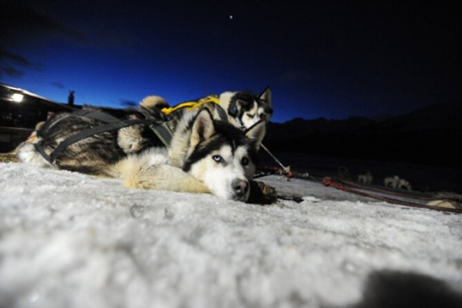 Ushuaia: Snow & Fire: Dog Sled and Snowshow By Night - Meeting Details