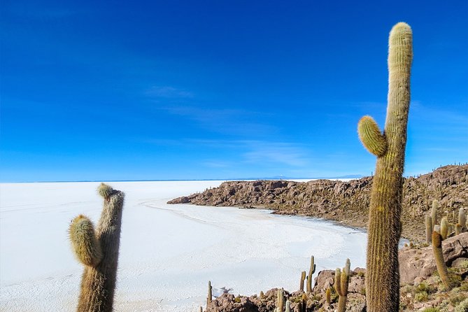 Uyuni Salt Flats  Full Day  English Speaking Guide