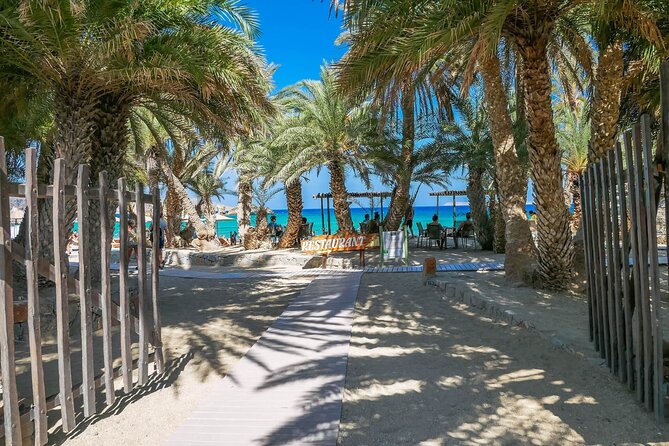 Vai Palm Beach From Heraklion!