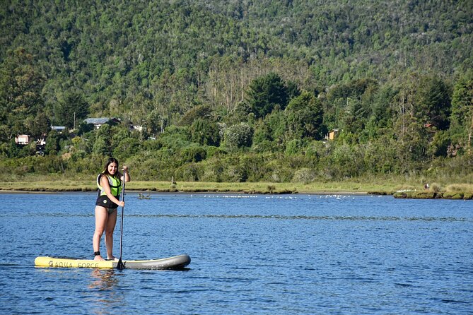 Valdivia SUP Cruises for 6 People With Transportation Included - Package Inclusions