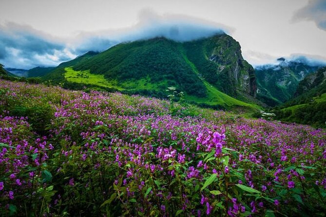 Valley of Flowers and Hemkund Trek- Banbanjara