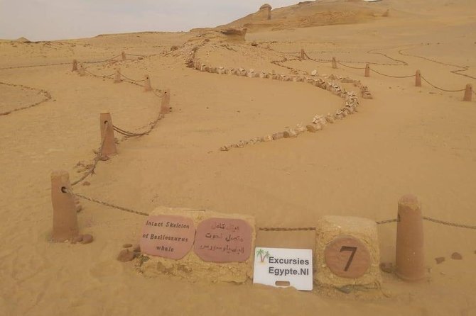 Valley Of Whales Two Days Tour From Cairo - Itinerary Details