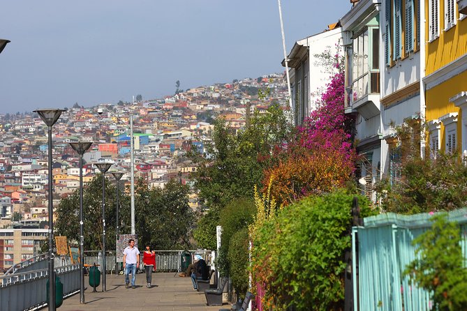 Valparaiso Walking Tour Including Funiculars and Trolley Bus Rides - Tour Highlights and Inclusions