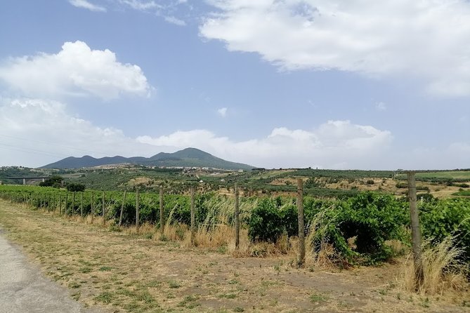 Venosa, an Ancient Roman Colony and City of Aglianico Wine - City of Aglianico Wine