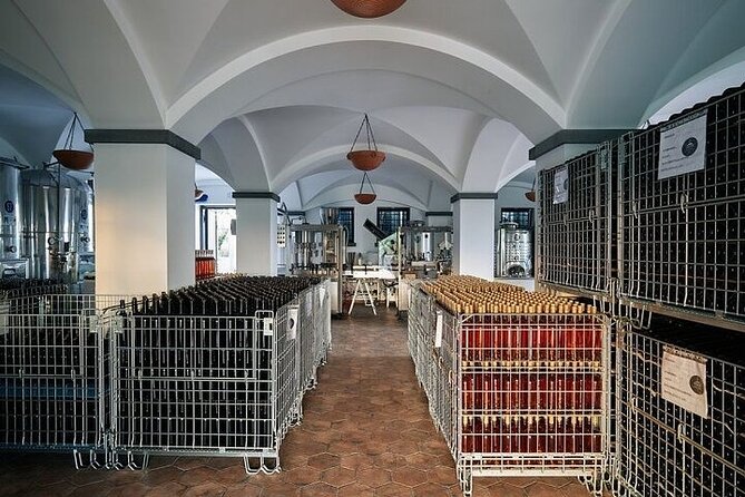 Vesuvius Wine Tasting Tour From Naples With Lunch - Tour Overview