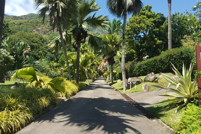 2 Best Tours In Beau Vallon