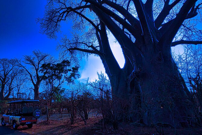 Victoria Falls: Twilight 4x4 Safari - Inclusions