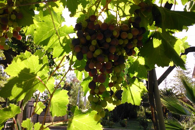 Villavicencio Walking Tour With Lunch Included - What to Expect