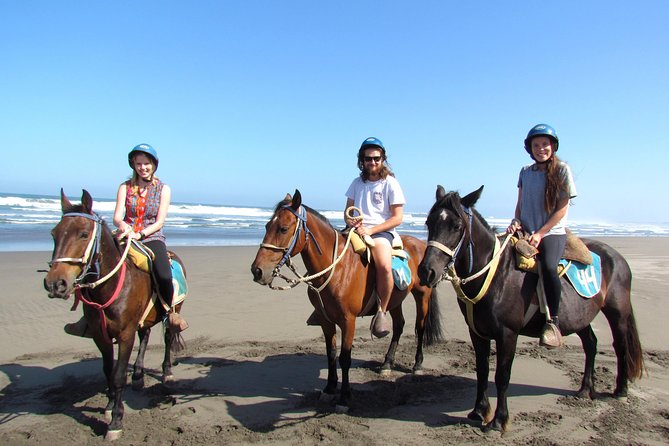 Viña Del Mar and Valparaiso Private Tour Including Horseriding
