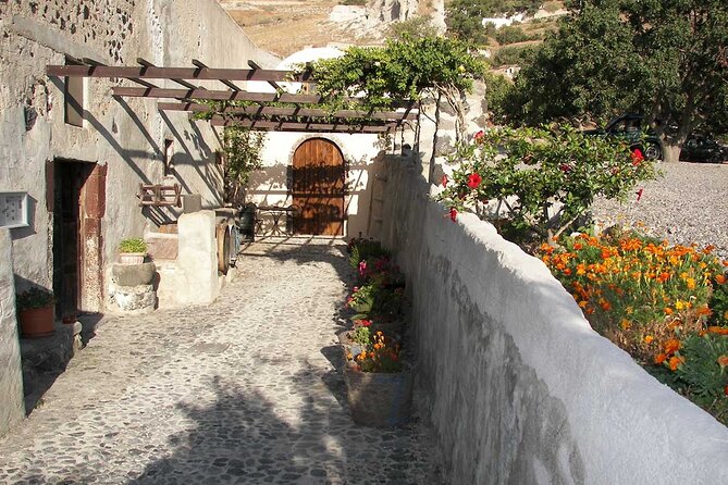 Vineyard Stories & Wine Tasting in Santorini