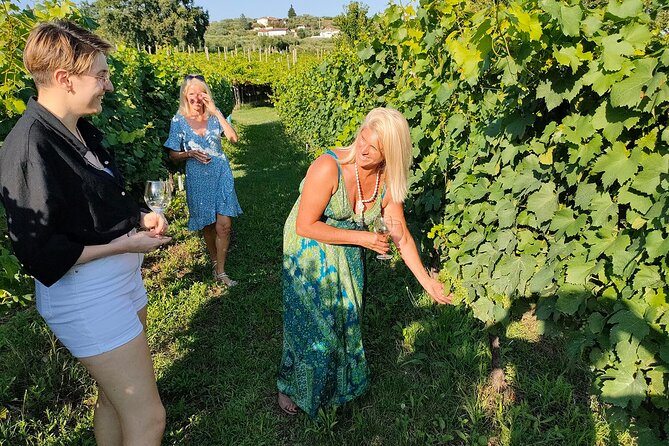 Vineyard Tour and Wine Tasting in Cavaion Veronese - Overview of the Experience