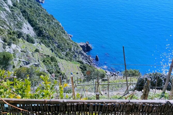 Vineyard Tour With Wine Tasting in Cinque Terre