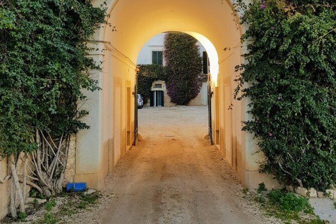 Vineyard Wine Tasting & Soft Lunch & Transfer Included