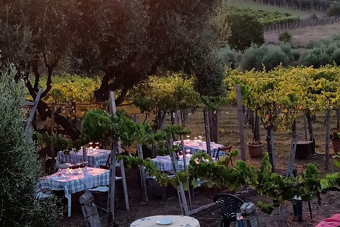 Vineyards With Wine and Food Tasting in Frascati From Rome - Frascati Wine and Food Tour