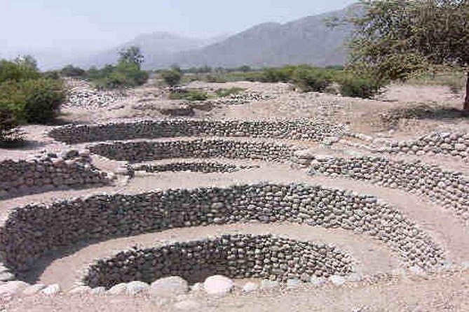 VIP Tours Nazca Aqueducts