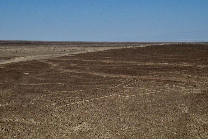 VIP Tours Nazca Lines - Tour Details